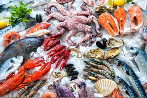 Seafood